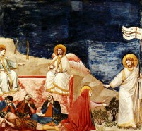 giotto1.jpg